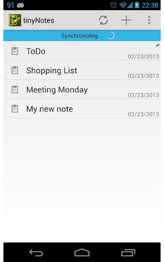 tinyNotes Notepad