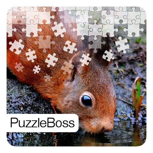 Squirrel Jigsaw Puzzles LOGO-APP點子