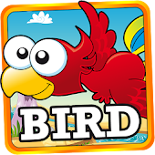 Little Birdy - Angry Escape