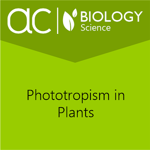 Phototropism in Plants 1.0.2