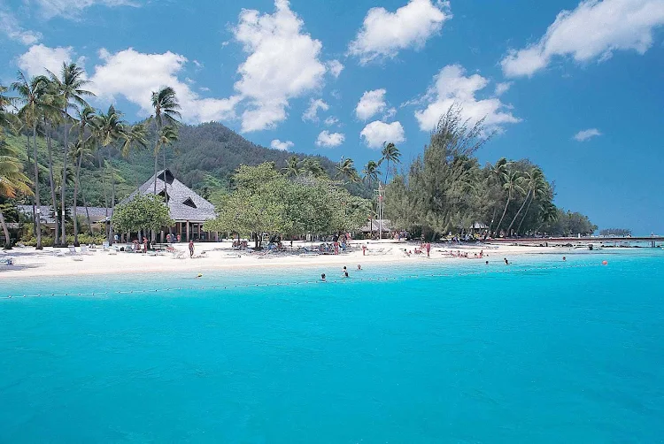 Enjoy a refreshing morning swim in Mo'orea bays.