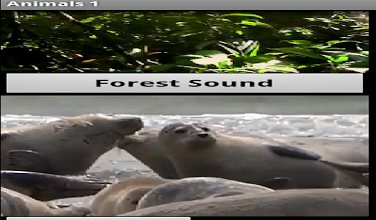 How to mod Animal Sounds App 2.0 mod apk for android