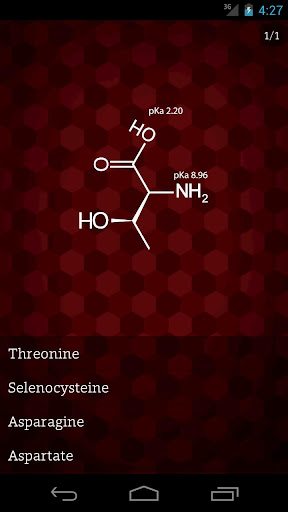 Amino Acid Quiz