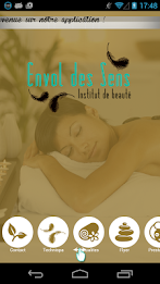 flight directions poster 6