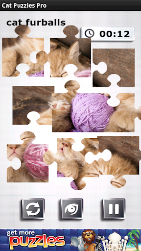 Cat Puzzles Pro