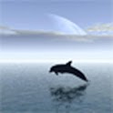 Dolphins logo