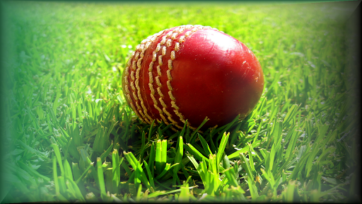 Cricket Scores Cricket News