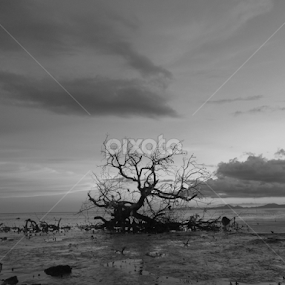 Pulau Ketam by Kristal Jiwa - Black & White Landscapes