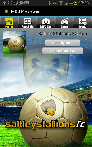 Saltley Stallions FC