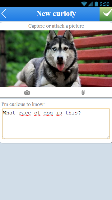 lO2pLxhF0lLHQGgB3PE6UkfQjxAZpfglgi5cBZG-CQTnjuWoBCdsd9CTil-Wx8OZFE4=h900