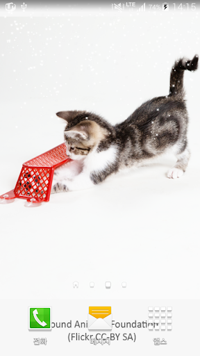 cat and ball wallpaper