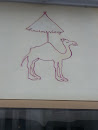 Kamel Mit Sonnenschirm