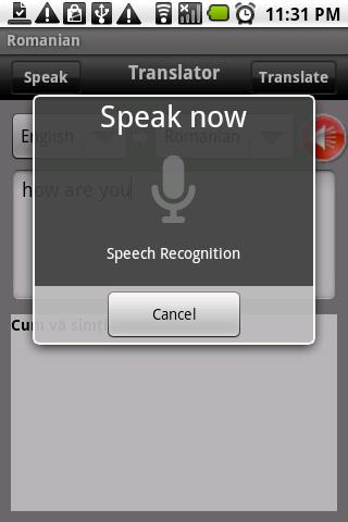 English Romanian Translator Screen 2