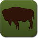 Yellowstone Web Cams