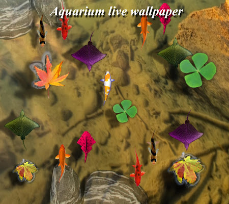 Fishes Live Wallpaper 2.3 Apk, Free Entertainment Application – APK4Now