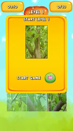 Custard apple Jigsaw Puzzles poster 6