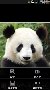 Free Download Bouncy IMAGE VIEWER APK