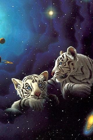 Download Magic Touch Galaxy White Tiger Google Play Apps A4jvmnza6mpm Mobile9