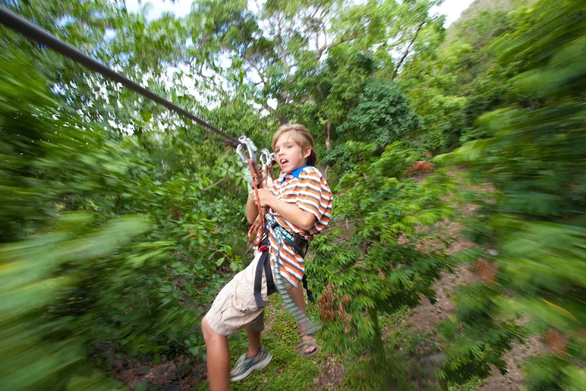 zipline-St-Maarten - Want an adrenaline rush? Head to Loterie Farm for a zipline adventure on St. Maarten.