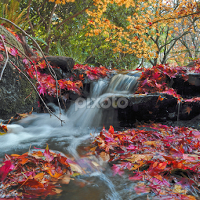 by Keith Sutherland - Landscapes Waterscapes