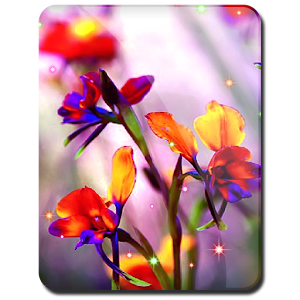 Little Summer Flowers HD LWP 1.0