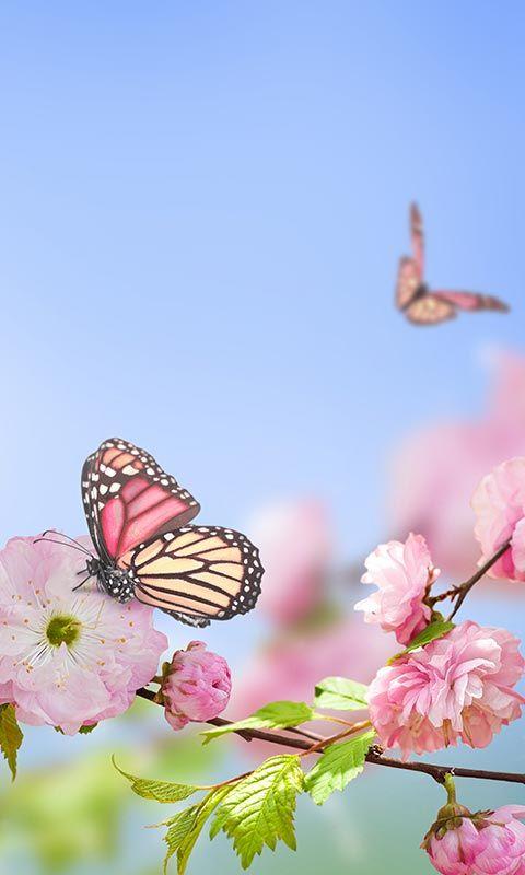 Spring Flowers Live Wallpaper - Android Apps on Google Play