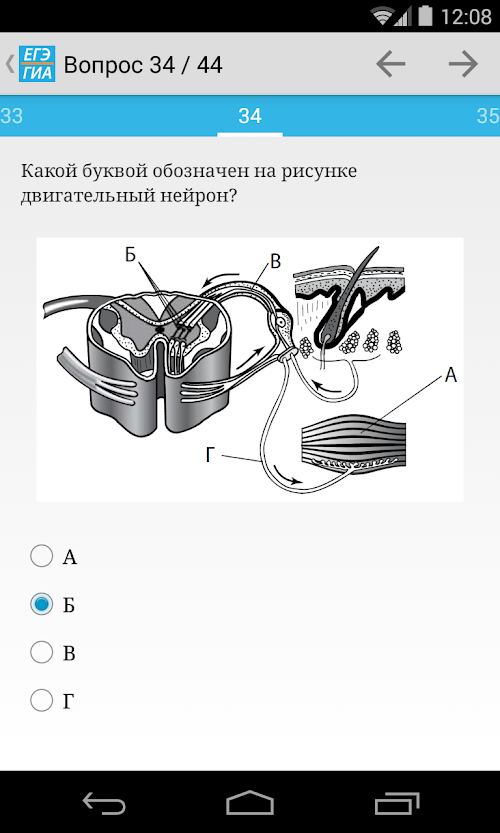 Android application ЕГЭ, ГИА и тесты для умных screenshort