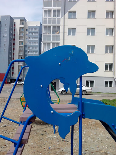 Dolphin in a Playground