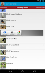 Spanish Birds Sounds Screenshots 10