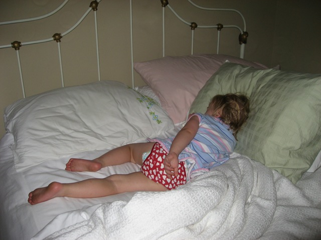 [20080530_027[2].jpg]