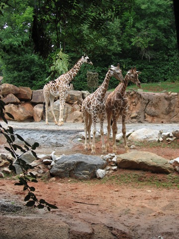 [20080711_005[1].jpg]