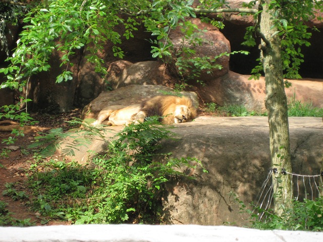 [20080711_009[1].jpg]