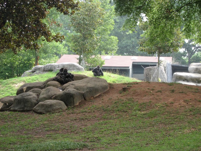 [20080711_011[1].jpg]