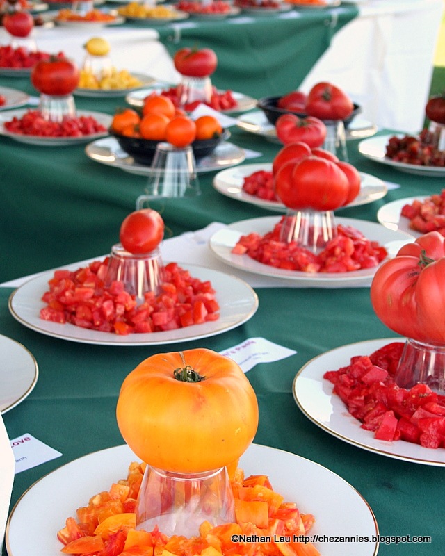 [tomatofest tasting table[2].jpg]