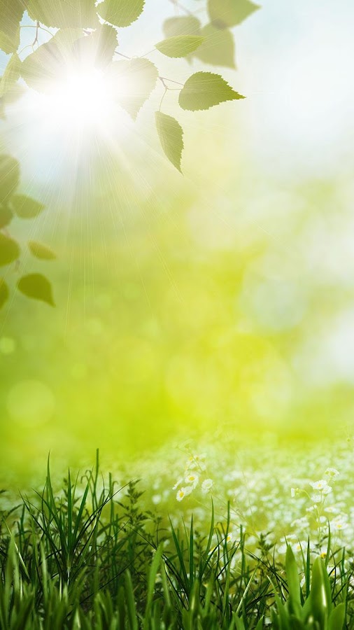 Spring Live Wallpaper Android Apps on Google Play