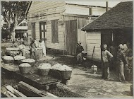 Aanvoer van cacao op "Ma retraite"