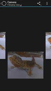 Snap Camera HDR - screenshot thumbnail