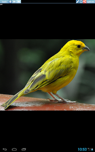 Gem Emerald CM11 Theme - screenshot thumbnail