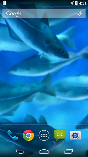 Aquarium Video Live Wallpaper