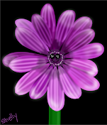 Purple Flower Of Course