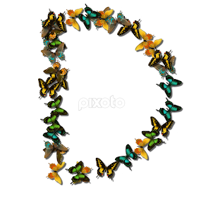 Alphabet - D by Dipali S - Typography Single Letters