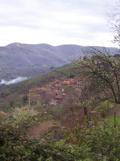 100_1423.JPG