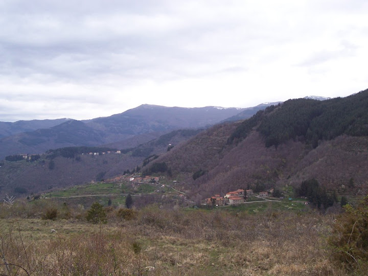 100_1428.JPG