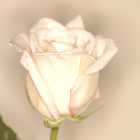 [j04220993.jpg]