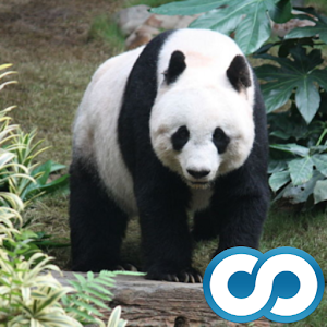 Animal Quiz Hacks and cheats