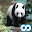 Animal Quiz Download on Windows