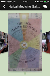 Naturopathic Health poster 4