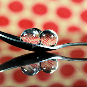 by Dipali S - Artistic Objects Cups, Plates & Utensils