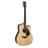 Learn To Play Acoustic Guitar logo