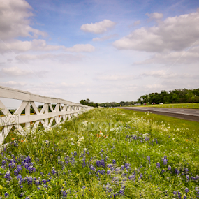 convergence by Juliana Sabo - Landscapes Prairies, Meadows & Fields